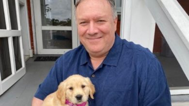 نزهة كلب بومبيو والحرب النووية.. ترامب يدخل على خط الأزمة 5 A4367F20 8285 4DAB A5EC 1A2C72629131