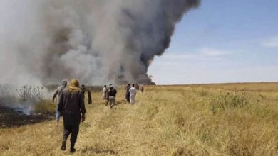 A5057ACE 5803 43D6 AF6B 1CEFDDFD1C58