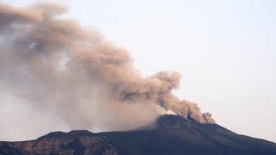 AE9BB70A 3706 46EF 8017 1285A91C16D0