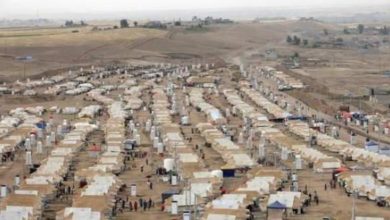 AEA8D603 D56F 4D78 B5E6 982D8AC4141B