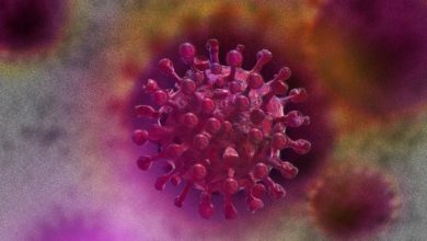 B8455CBA 4DF3 4891 A69B DF4D05B55907