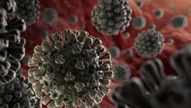 C126B894 FE0E 4A37 B4AA 2AB52AA2B11C