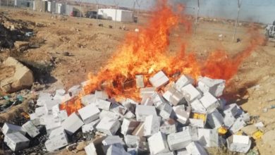 C2101E8A F696 4768 BF24 EBD828360612