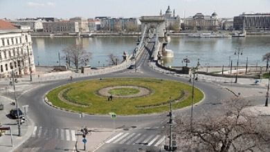 C8C8B9D7 880C 47D9 95A4 0896A29326BE