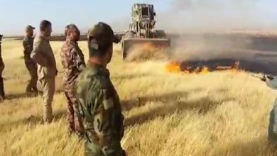 C8E8F8EF B521 4C1D B069 9CE677D70318