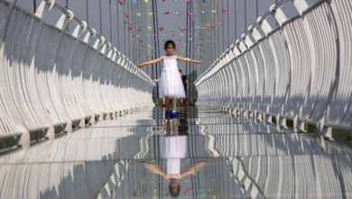 C97C9C2E D817 4168 BAB3 4C294E6ADB52