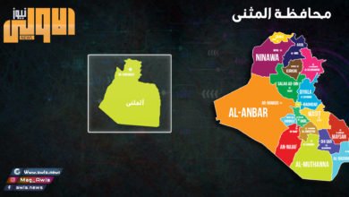 CB246A60 52B5 4E3E A462 E07940559935