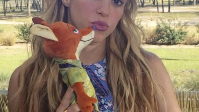 CC9C0E1E 1927 4181 96F2 45039F878566