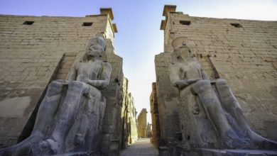 CCD2C382 1AA4 4C21 B7C7 7303A12D6866