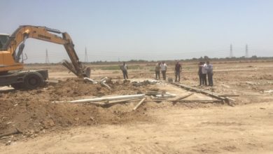 CE9C7738 74BD 46E9 BA91 3AFDC6908CA9