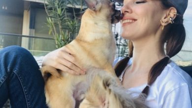 E5F25CA7 565B 4A66 BD62 5791DF429B24