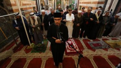 EC9A3A74 1B92 4048 A288 110505B766FE