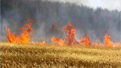 F140697F 7CD0 4C19 B0E0 D93687AE74EB