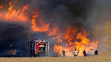 F4DDBC1D EEB2 4490 9189 F6406E389BE8