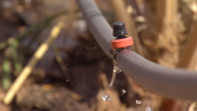 FA5E15A1 907C 4494 AFAF C005DE889610