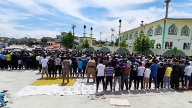 IMG 20200501 170113 631