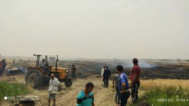 IMG 20200505 171637 573