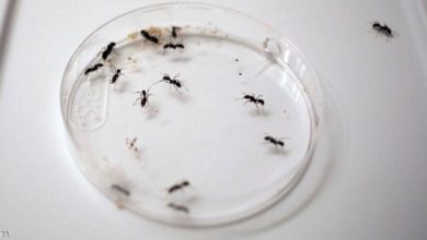 IMG 20200518 163602 165