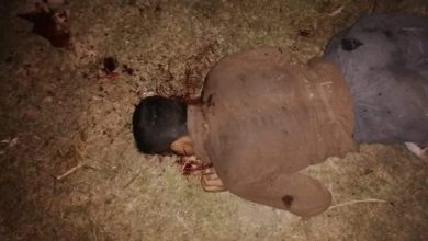 photo 2020 05 27 09 14 34 1