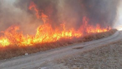 حرائق مندلي 1