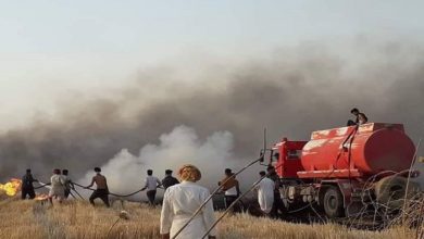 حريق الحنطة 1