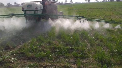 زراعة الانبار 696x522 1