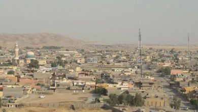 طوز خورماتو