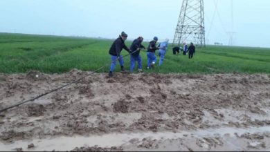 كهرباء 1068x586 1