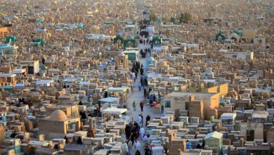 وادي السلام