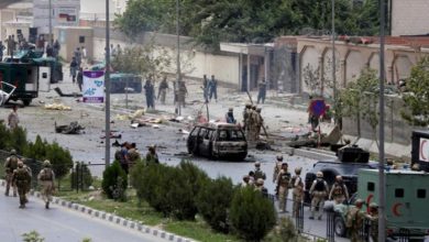 03215CE1 D0AA 4DD4 8506 6EBF4D0CE51D