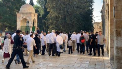 062DB2BF 1BFE 4E51 9A0B B7057790419D