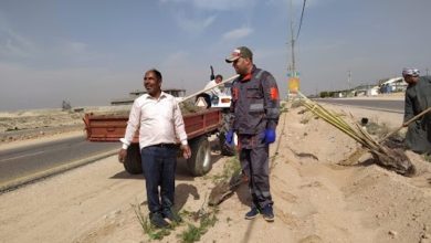 0DD18B52 3F2A 41D5 83BB 04B06E5A04FF