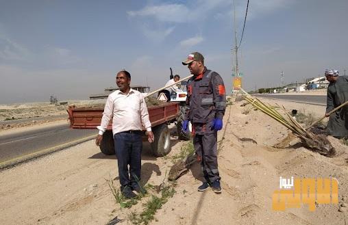 الانتهاء من زراعة 13 الف شجرة في طريق “ياحسين” للزائرين بين كربلاء والنجف 1 0DD18B52 3F2A 41D5 83BB 04B06E5A04FF