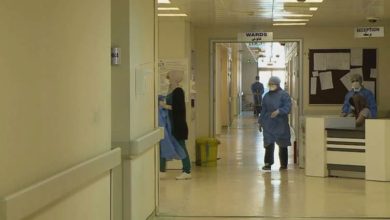 0ED83EBF 4B8B 4106 B460 9DE58181F503