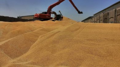 21E1D020 EBCA 4CA2 9545 80772EBC1135