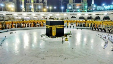 249C5CA5 1451 4590 B835 9E29E661C316