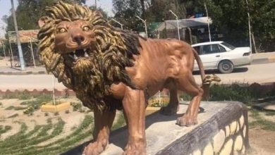 27ADC1C6 8A55 4205 960D 163A31DB8146