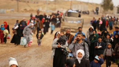 29E2E138 985D 4622 A75B 61B01A9DFE8A