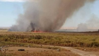 2abe2ec699406083f1e8dddb36e00b59