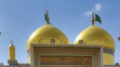 3556CB0D 914A 43D9 9009 671F3BAAD20B