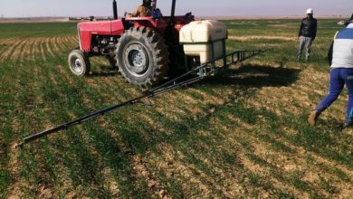 36E3DFB9 61C6 46C5 ABC7 404C3DCC2892