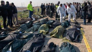 415F4E3C A23C 42DC A6CF EB2DB3F53539