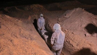 43A905EB F609 4917 ADF2 95DB3FC7BCEA