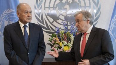 448DB901 0B6D 4ED8 8B71 4AD720BC073B