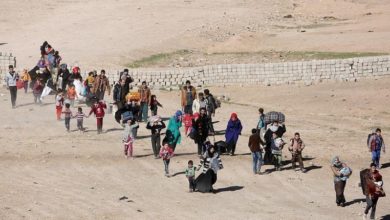 48DC18B7 7E89 4873 96A9 5D0B9E400D8E