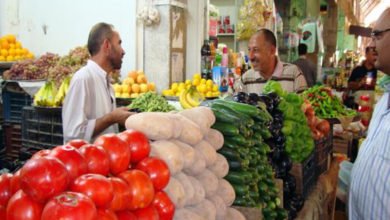 4E52C809 A513 493A 83EC 77227681B5AC