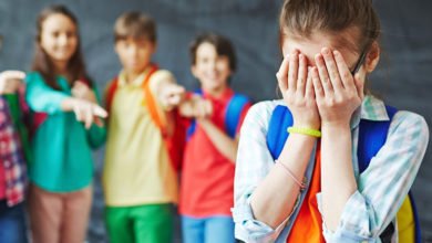 55613367 A31B 48F4 8F81 A0B06C2CDFEE