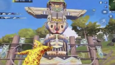 البوبجي تحذف "مود الاصنام" من اللعبة 5 695F0D99 EA4A 40A6 89D0 96ABFBDFEC58