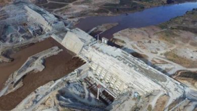 6DB554AD B8E9 4645 BA67 61EC16B18263