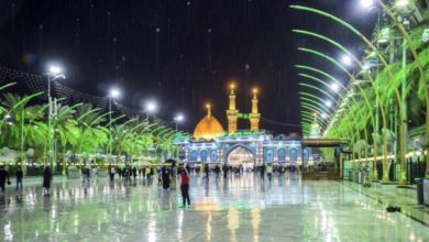 71D80D1F D76F 434E 853A 6321F9AB223B